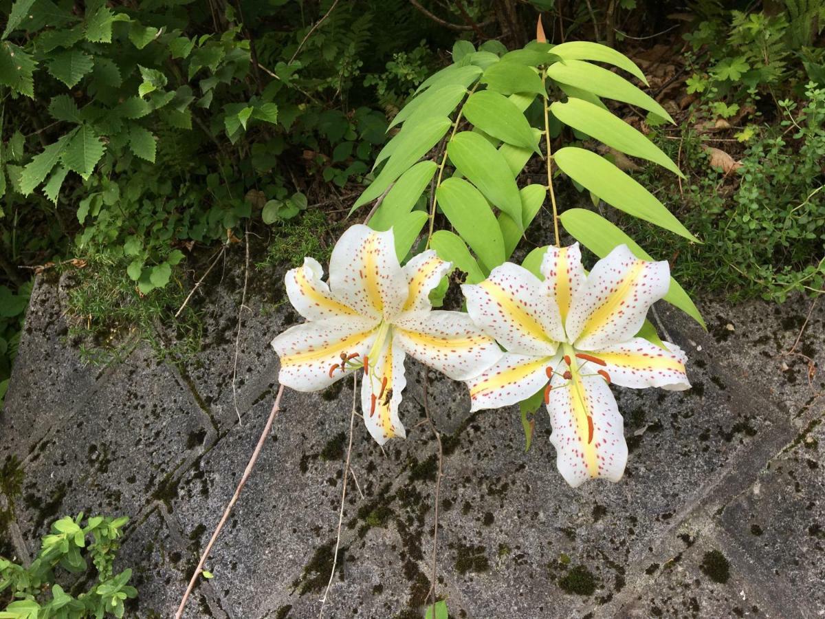 Pension ぽかぽか（Poka Poka） 片品村 外观 照片